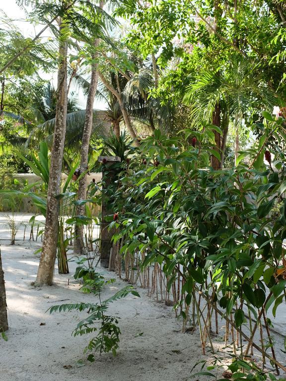 Rumah Jah Langkawi Pantai Cenang  Exterior foto
